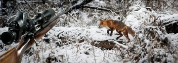 Прибор ночного видения Pard Nv-007 V7a 2020 300 М