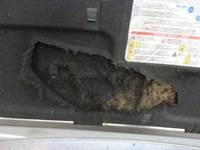 фото thumb №16, Капот fiat croma 2 ii 2005-2007r. срібляста 698/a