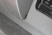 фото thumb №7, Крышка багажника багажника задняя задняя серебристая hyundai tucson 1 i 04-10