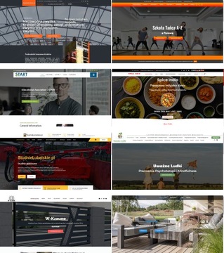 STRONA INTERNETOWA WWW ONEPAGE | RESPONSYWNA | DOMENA, HOSTING, SSL, CMS