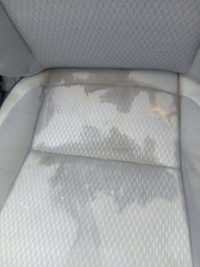 фото thumb №6, Honda jazz v crosstar сидіння заднє сидіння перед задня 20-