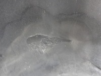 фото thumb №14, Hyundai elantra 00-03 бампер задня задній