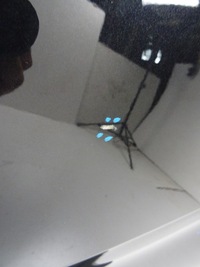 фото thumb №6, Toyota c-hr chr lift двері ліва задня 2020r