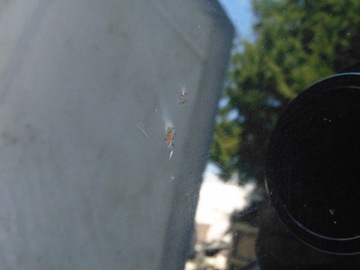 фото thumb №5, Капот кришка двигуна vw eos 1q 1q0 чорна lc9x