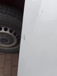 фото thumb №3, Капот volvo polestar ii