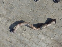 фото thumb №1, Suzuki sx4 06 труба вихлопна вихлоп з'єднувач