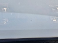 фото thumb №11, Fiat scudo expert jumpy 2 ii 07-16r двері праві перед праве передні