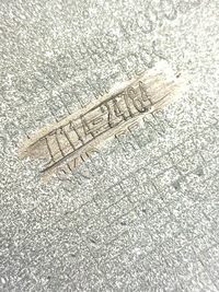 фото thumb №7, Renault koleos спойлер накладка бампера задня 77114-24784