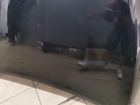 фото thumb №10, Капот крышка двигателя renault clio iv lift tegne