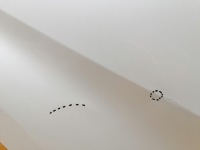 фото thumb №3, Дверь правое задние правый задняя toyota chr ch-r 2016-2023r