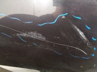 фото thumb №7, Citroen c5 iii x7 sedan дверь левая задние