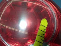 фото thumb №6, Aveo iii t300 sedan лампа задняя левая задняя 96830975