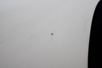 фото thumb №12, Opel combo d fiat doblo ii 10r- дверь левая передние левый перед 249