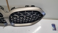 фото thumb №3, Решітка радіатора решітки радіатора bmw 1 f40