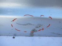 фото thumb №3, Двері праве suzuki swift mk6 3d