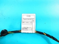 фото thumb №3, Джгут двері задня ліва bmw x3 f25 lift