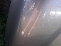 фото thumb №8, Капот nissan navara np300 17-