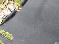 фото thumb №9, Полка задняя багажника vw jetta 5c 2011- 5c6863413d