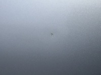 фото thumb №4, Двері лівий перед renault megane iii