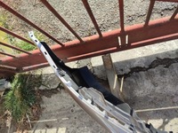 фото thumb №13, Бампер перед переднє volkswagen passat b7 6x pdc la8x