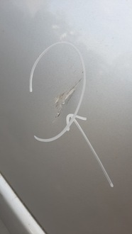 фото thumb №6, Дверь левый задняя audi a4 b6 ly7w sedan