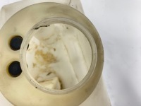 Бачок жидкость омывателя mercedes r129 1298600360 в Украине, фото thumb