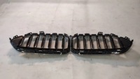 Решётка радиатора решётка радиатора решётки радиатора bmw f44 Киев, фото thumb