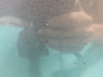 фото thumb №10, Дверь перед левая mitsubishi lancer viii 07-16 a39