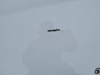 фото thumb №7, Капот ford ka ii mk2 цвет f9 lata 2008-2016