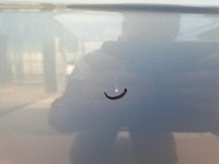 фото thumb №5, Двері правий перед audi a3 8p lx5x