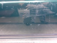 фото thumb №8, Дверь левый перед rover 400 nam