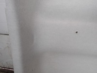 фото thumb №7, Потолок dacia dokker 1.6 sce 2018 r europa 739102516r