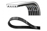 фото thumb №1, Dayco ремень многоручьевой 6pk2440 mercedes cabrio