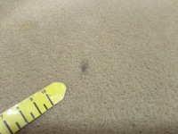 фото thumb №10, Audi a8 d3 обшивка килимок підлога бежева задня