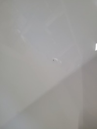 фото thumb №7, Renault talisman капот кришка двигуна оригінал