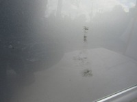 фото thumb №15, Nissan pathfinder r51 дверь правые перед правые передние