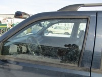 фото thumb №1, Opel frontera b стекло дверь перед левая