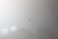 фото thumb №6, Капот toyota avensis iii t27 1g6