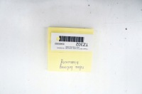 Tz302 peugeot 308 3 t10 накладка колонки керма 9835231880 9830596780 Зі Шроту, фото thumb