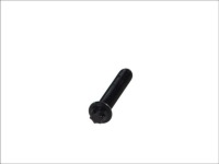 фото thumb №1, Connecting rod screw