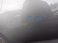 фото thumb №8, Vw polo 2g 17- двері праві задні зад