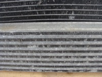 Ремень передний вентилятор радиатор воды кондиционера dacia logan 1 fl 1.5 dci Оригинал, фото thumb