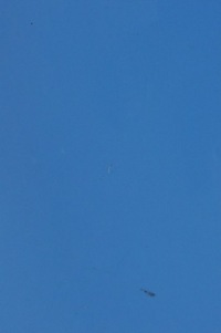 фото thumb №10, Volvo v40 ii дверь левый задняя задние полный