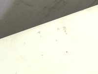 фото thumb №5, Крила лівий перед renault kangoo ii van minibus