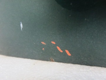 фото thumb №9, Крышка багажника vw passat b5 универсал lc6m