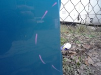 фото thumb №7, Citroen c3 picasso дверь правое правый задняя