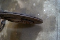 фото thumb №8, Сцепление полный kangoo 1.5 dci