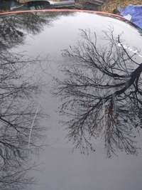 фото thumb №7, Smart fortwo iii 453 дах сонячний панорама 2014-