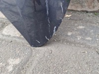 Renault kadjar капот крышка двигателя перед с Разборки, фото thumb