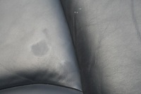 фото thumb №6, Mercedes w220 рестайлинг сиденье сиденья зад royalblau